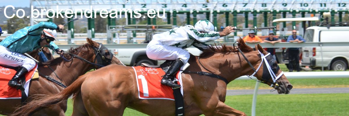 co.brokendreams.eu